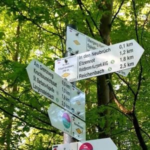 Schilder_im_Wald